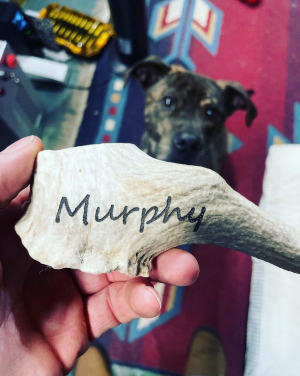 Laser etched antler