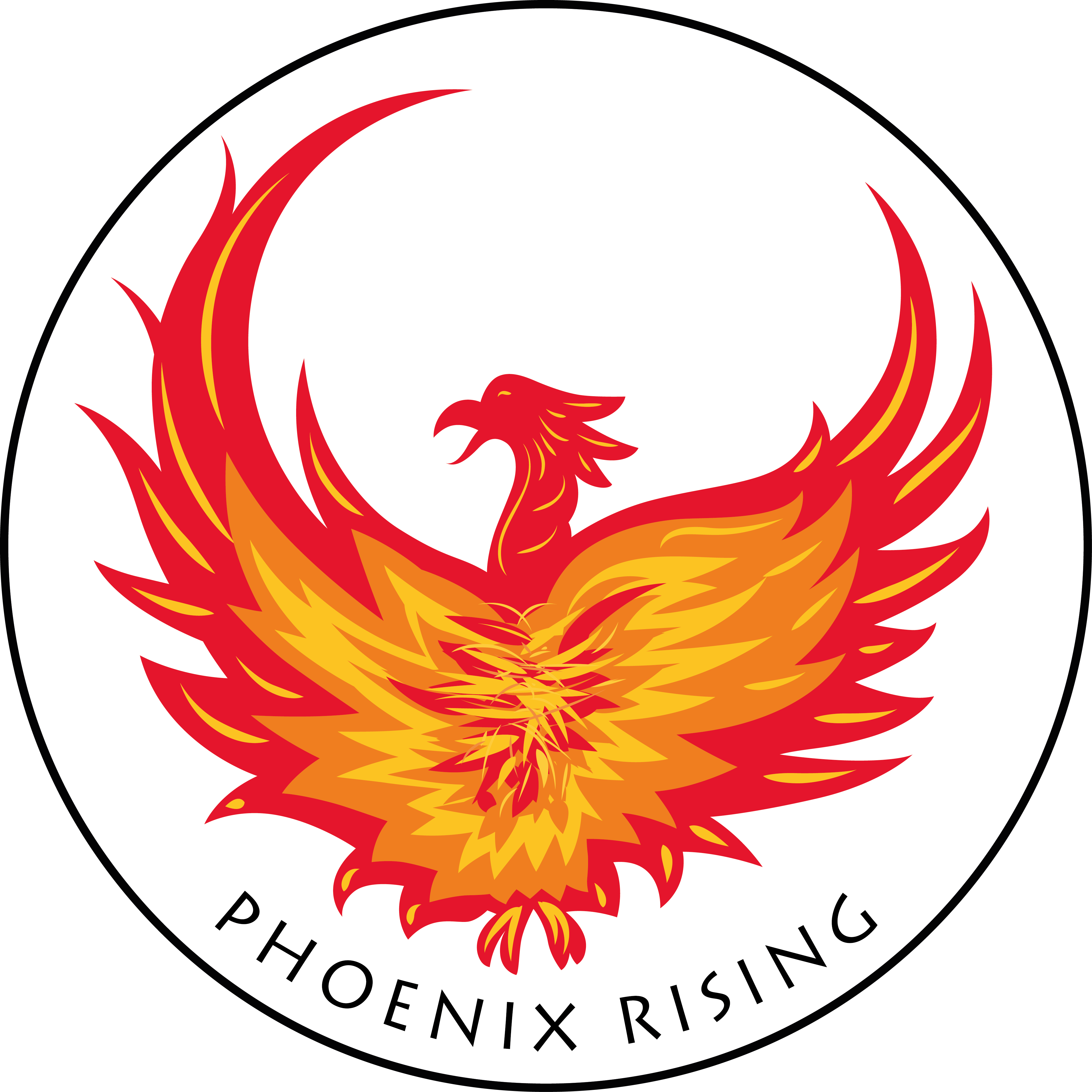 Phoenix Rising Bomb Shock Blank :: JP Leathers and Lasers